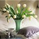 kwiaty cięte - tulipany