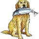 Ryby dla psa