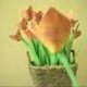 Jak zrobić tulipana Origami?