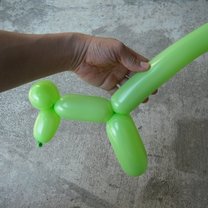 Pies z balona 5