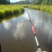 łowienie ryb na rzece