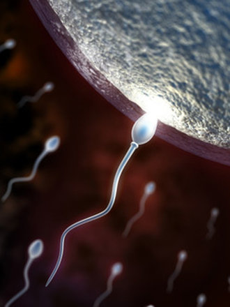 Randki spermy