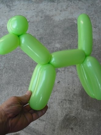 pies z balona