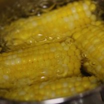 gotowanie kukurydzy