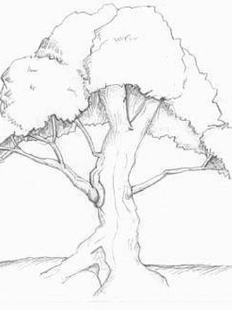 rysunek drzewa