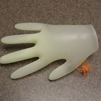 mydlana ręka - krok 13