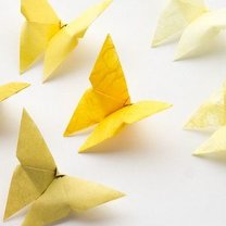 motyl origami