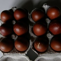 brązowe jaja
