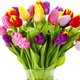 cięte tulipany w wazonie