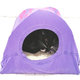 namiot dla kota