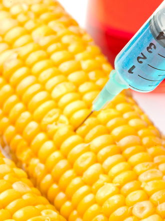 prawdy i mity o GMO - krok 1